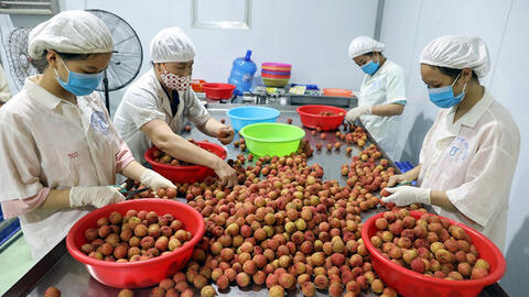 Xây dựng nông thôn mới bằng "hai chân" tại Bắc Giang