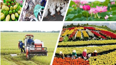 Bài 2: Quan điểm, mục tiêu của Nghị quyết số 19-NQ/TW về nông nghiệp, nông dân, nông thôn đến năm 2030, tầm nhìn đến năm 2045