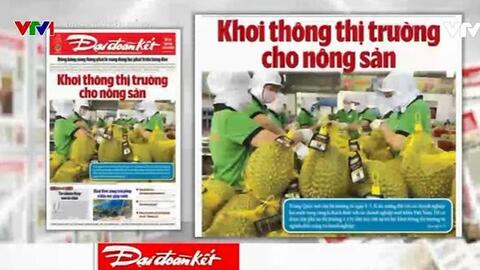 Xuất khẩu nông sản: Xây dựng thương hiệu thay vì đi "buôn chuyến"