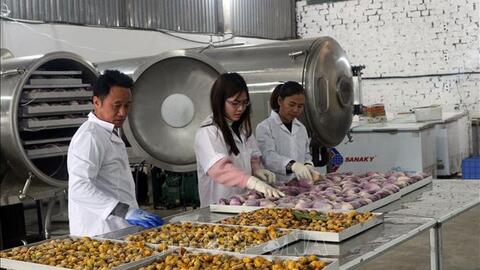 Hà Nam: Tạo động lực phát triển kinh tế tập thể
