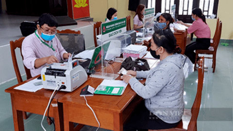 Tín dụng chính sách: Tạo sinh kế, mở đường cho nông dân Quảng Nam trên hành trình thoát nghèo bền vững