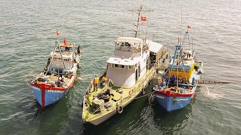 Hải Phòng, Quảng Ninh, Thái Bình tích cực cùng cả nước gỡ thẻ vàng IUU