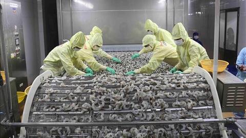Việt Nam có nhiều cơ hội để nâng cao năng suất lao động