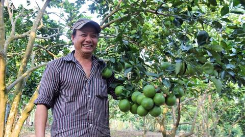 Đồng bào Cơ Tu Quảng Nam thoát nghèo từ mô hình trồng cây ăn quả