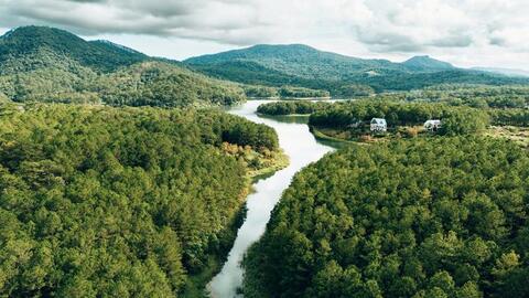 “Xanh” hơn cùng tín chỉ carbon