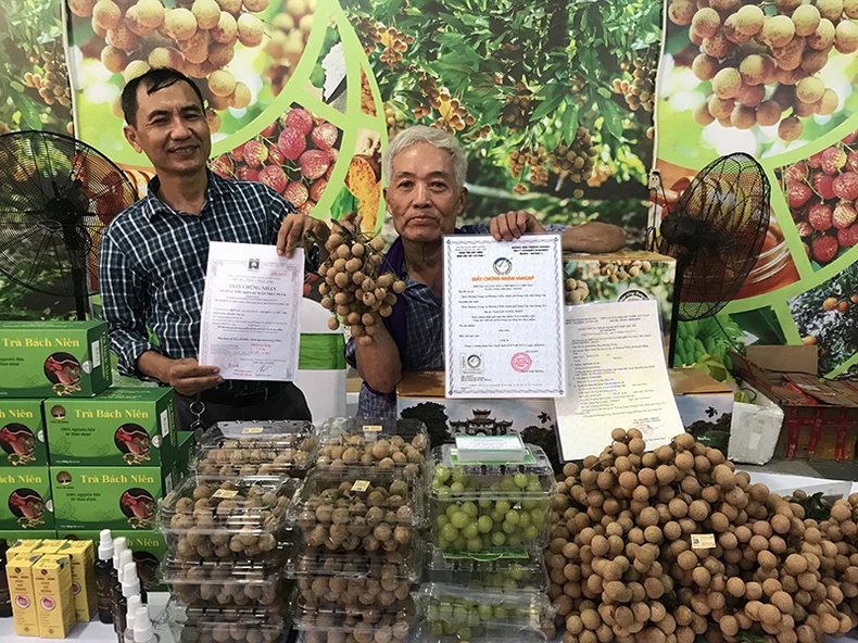 Hưng Yên đẩy mạnh xúc tiến thương mại mở rộng thị trường tiêu thụ nhãn