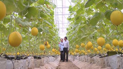 Hơn 35.000 tỷ "rót" đầu tư vào nông nghiệp Thanh Hoá