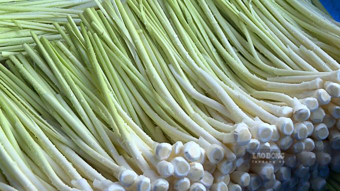 Phần lõi bên trong cây bồn bồn. Ảnh: Phương Anh