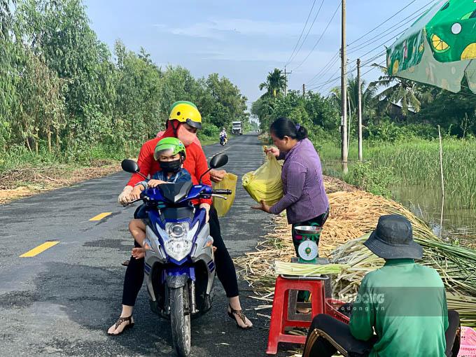 Nhiều hộ dân thu hoạch bồn bồn sau đó bán trực tiếp cho khách qua đường. Ảnh: Phương Anh
