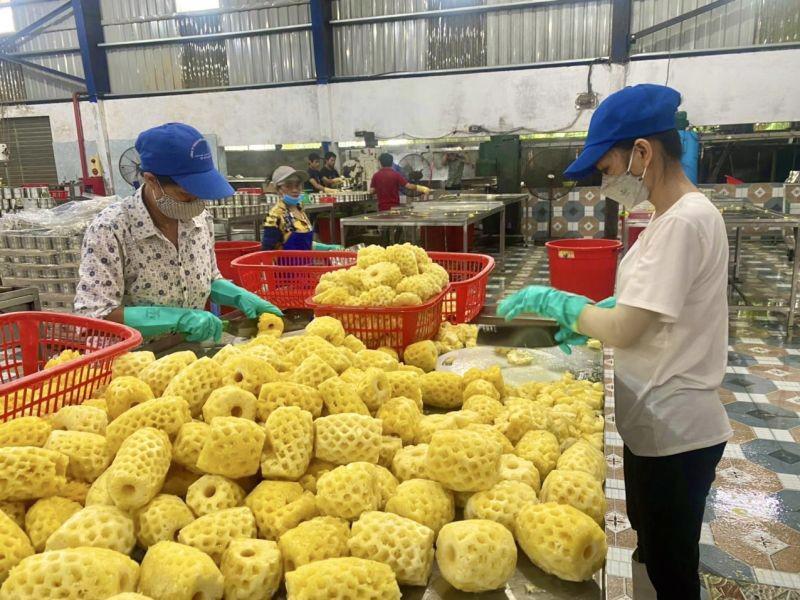 Quả dứa l&agrave; một trong những sản phẩm n&ocirc;ng sản xuất khẩu của Thanh Ho&aacute;.