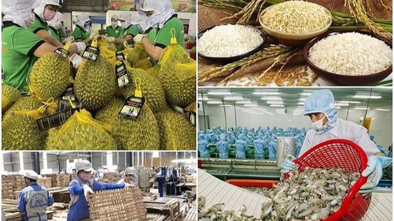 Ngành nông nghiệp đặt mục tiêu thực hiện kim ngạch xuất khẩu toàn ngành đạt 65 tỷ USD trong năm 2025.